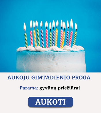 Gimtadienio aukojimas