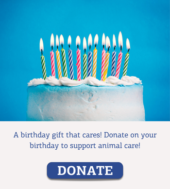 Birthday donation