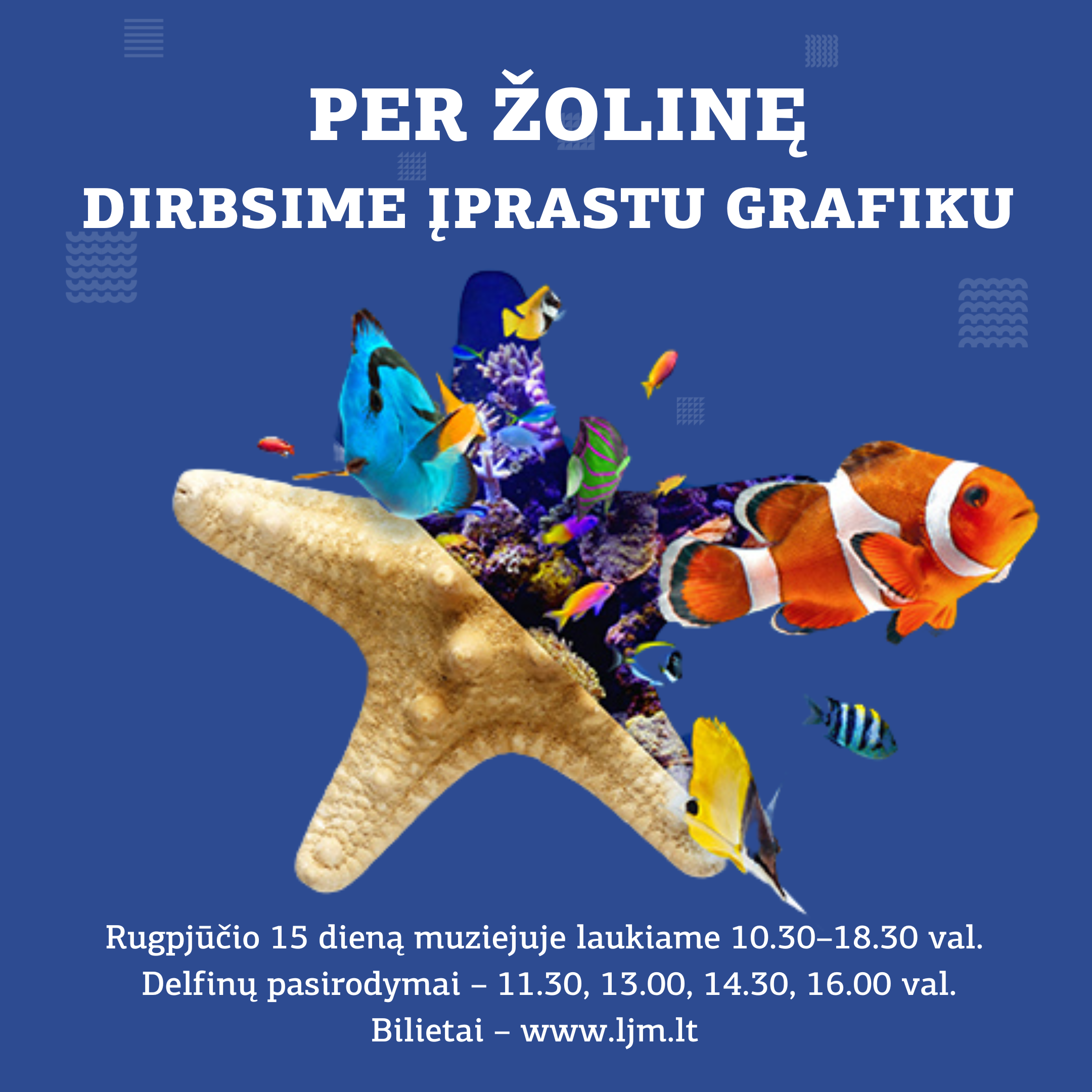 Žolinė Žolinė