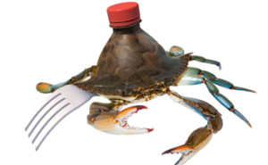 Krabas Koronaemarginata