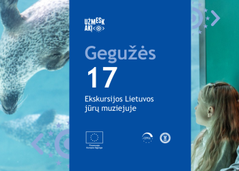 Užmesk akį į Baltijos jūros gyventojus 