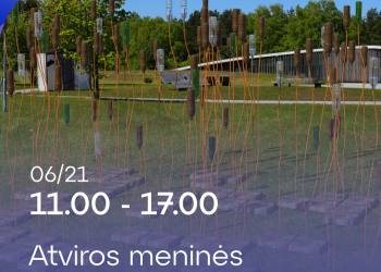 Savos bangos