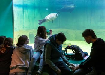 ,,Su jūra – mes didesni“: nauja olimpiada kviečia atrasti Lietuvos jūrinę tapatybę. A. Mažūnas