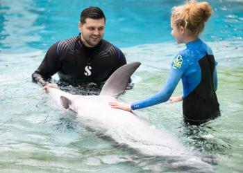 Janis Deinats nuotrauka